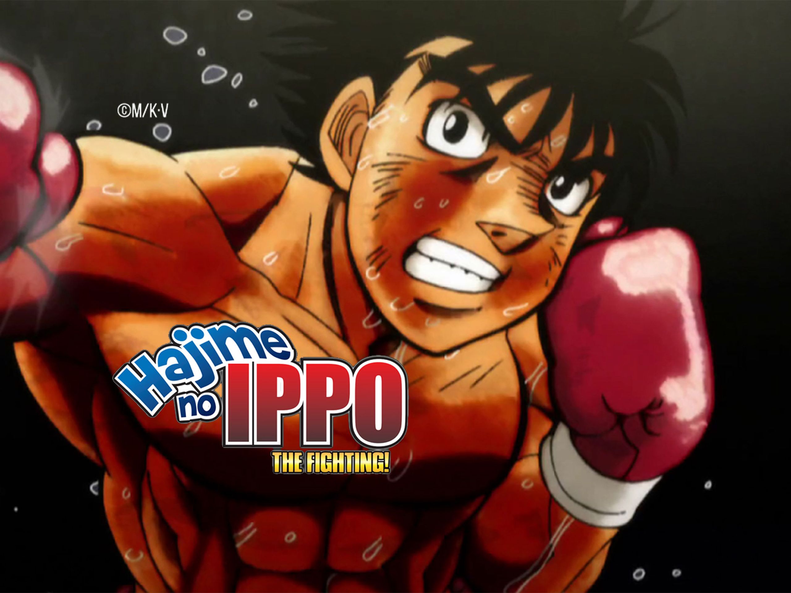 b1d455a1877ea3965ad114b4b166dd551210c9c2110199c81526f20178156eef - Hajime no Ippo Merch